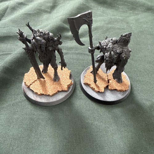 Cankerborn maggot kin of - maggot,