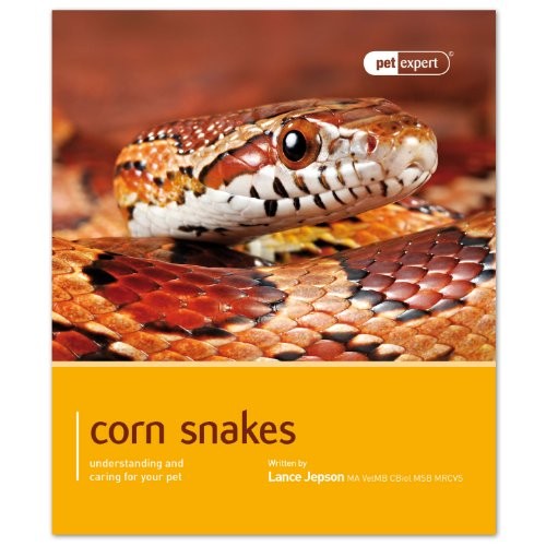 Corn snakes pet expert - -,