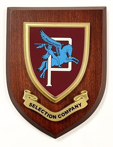 Parachute regiment company - parachute,
