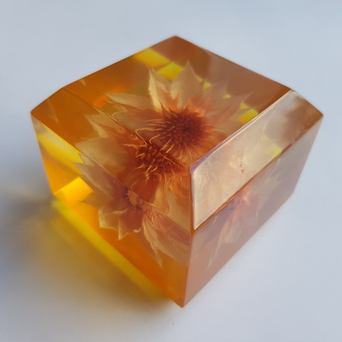 Lucite paperweight straw dried - lucite,