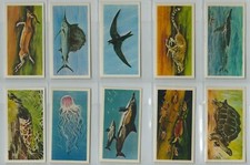 Brooke Bond. A full set, 50