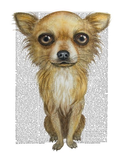 Chihuahua dog watercolour - dog,