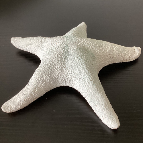 Large natural dried starfish - natural,
