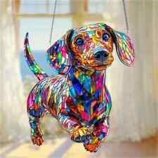 Dachshund Shaped Dog