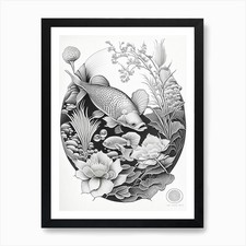 Doitsu Showa Koi Fish Haeckel