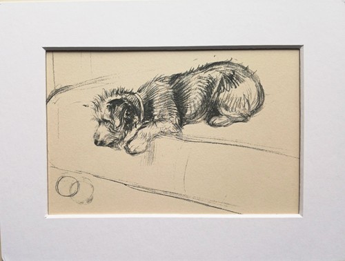 Terrier puppy dog sketch print