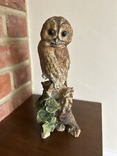 Rare Border Fine Arts Tawny Owl By Victor Hayton.  1977. In Super Condition.
