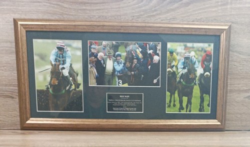 Framed collection the horse - the,