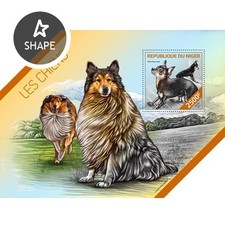 Dogs (Russian Toy Terrier)