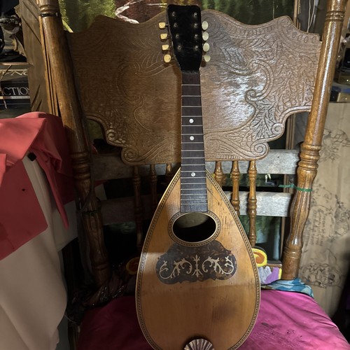 Taterbug mandolin bowlback - taterbug, mandolin.