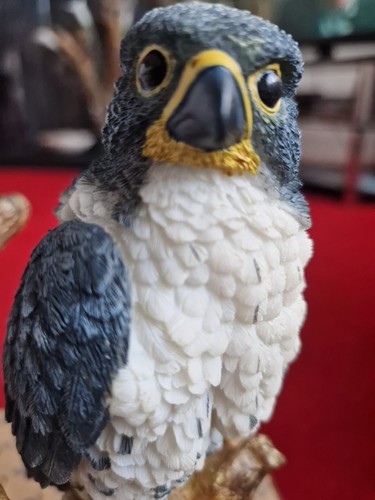 🦅