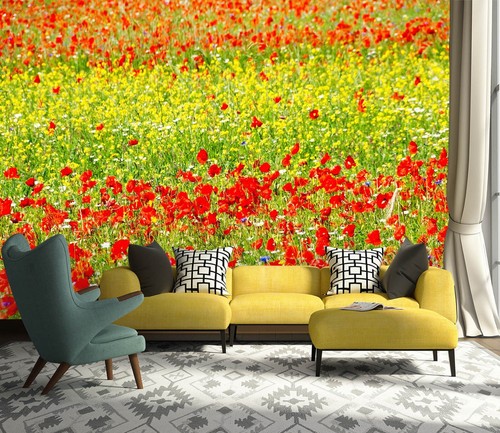 Red poppy zhub7040 - red,