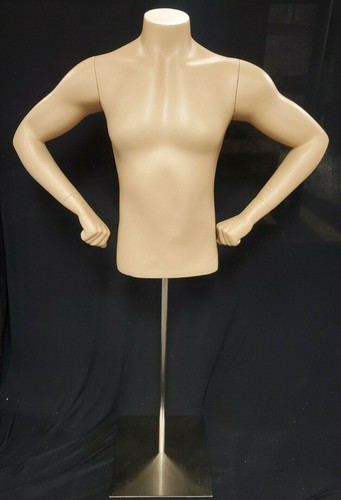 Headless male torso - male,