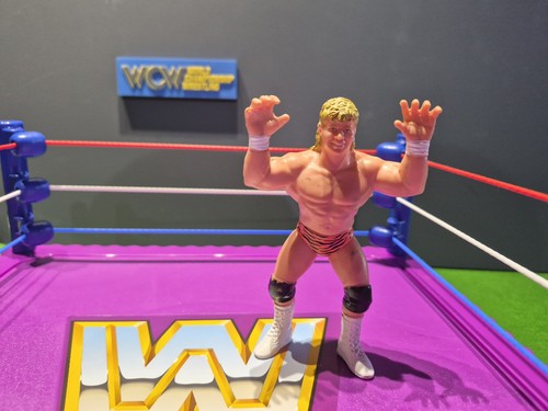 Wcw galoob brian - galoob, pillman