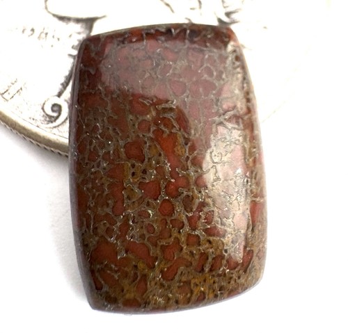 Red cell dinosaur bone - red,