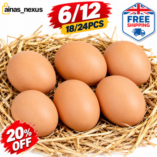 12x fake plastic eggs - 6/12x, dummy