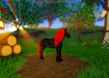 Fading Black Ruby Friesian