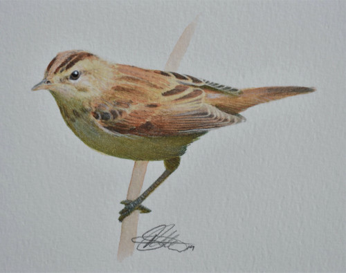 Original watercolour painting - original,