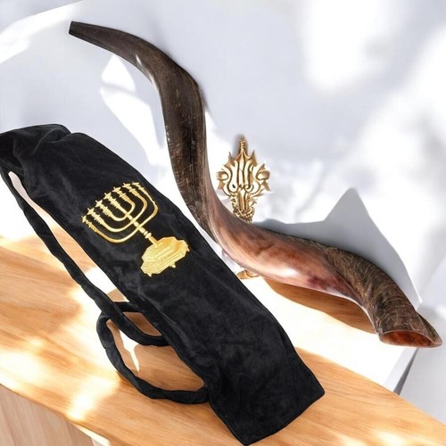 Yemenite shofar kudu - , horn