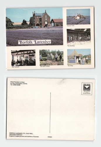 Postcard norfolk lavender - postcard,