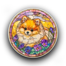 Pomeranian Dog Puppy Stained