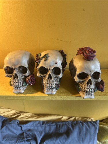 Set medium resin skulls - set,