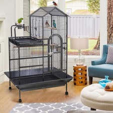 Metal Iron Budgies Lovebird