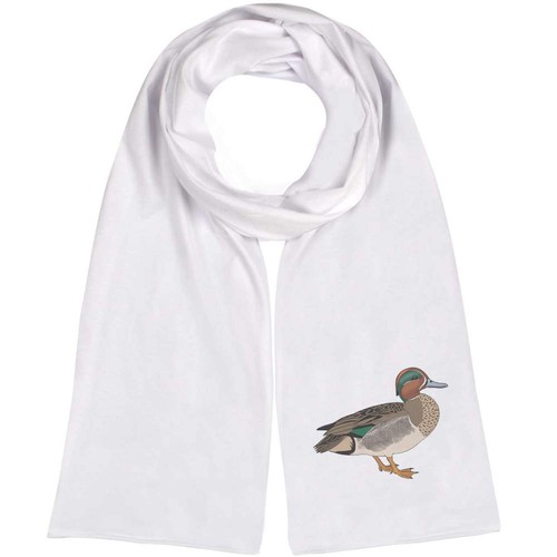 Green winged teal duck - 'green,