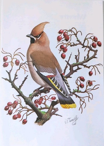 Charles tunnicliffe vintage - charles,