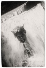 LITTLE WATER DEMON weird creepy antique boy photo children summer holiday +7498E