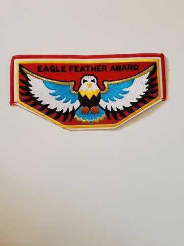 Boy scout patch eagle feather - scout,