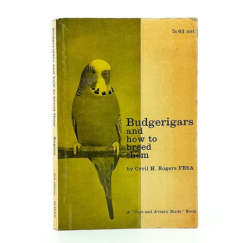 Budgerigars and how - to, breed