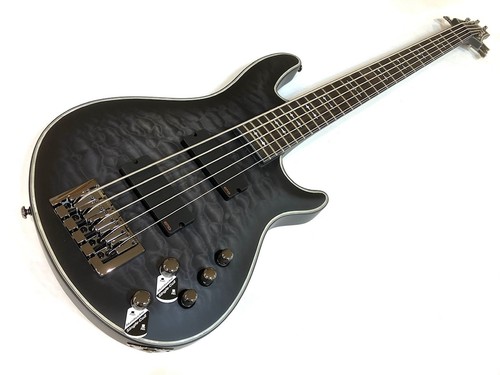 Schecter hellraiser - schecter,