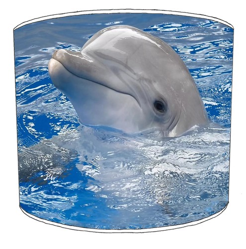 Dolphins ceiling lampshades - dolphins,