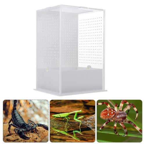Frog tank praying mantis - frog,