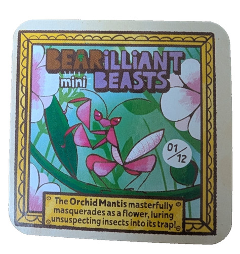 Yoyo bear bearilliant - yoyo,