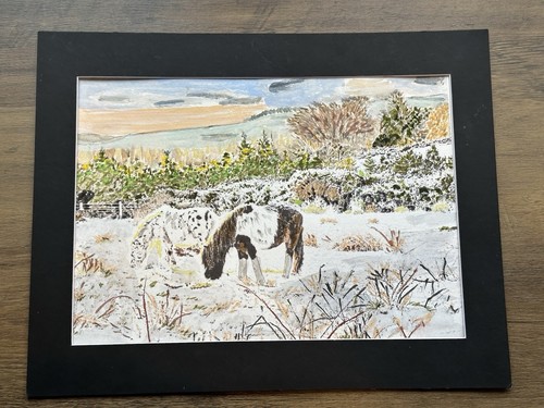 Mark leary dartmoor - leary,