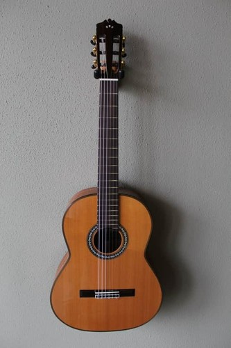 Brand new cordoba - c9, parlor