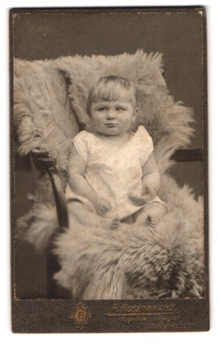 Photograph rosenkranz - photograph,