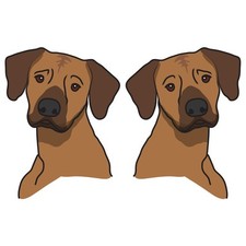 Rhodesian Ridgeback Dog Decal