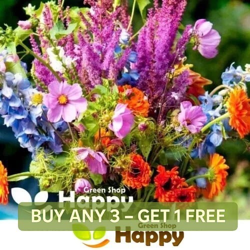 Cut flowers mix - flowers, 1