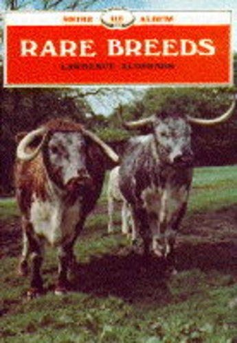 Rare breeds shire - breeds, (shire