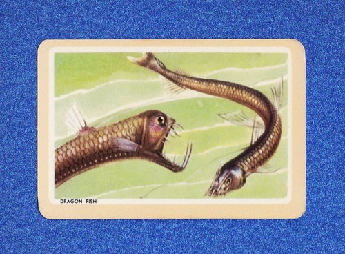 Vintage swap playing cards - playing, ~