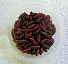 60 Dried Fly Casters Green / Blue bottle .