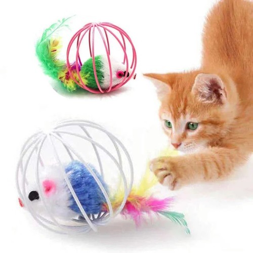 Indoor play interactive cat - interactive,