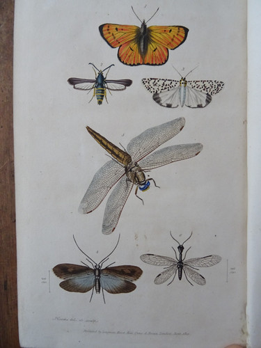 1817 introduction - 1817, to