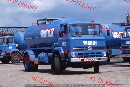 Truck photo milk - truck, marketing