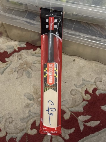 Miniature gray nicolls cricket - gray,