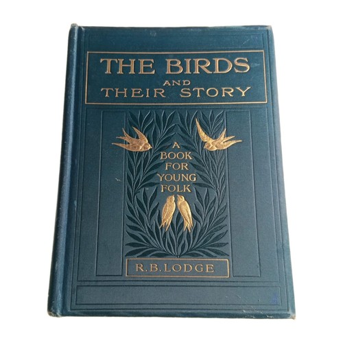 Birds and their story lodge - and,