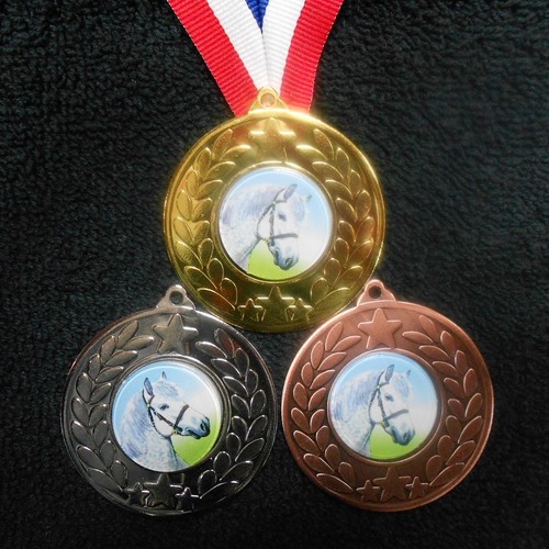 Pony horse medal ribbon - &,